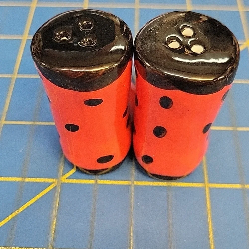 Lady Bug Red & Black Rain Boots Salt & Pepper 2